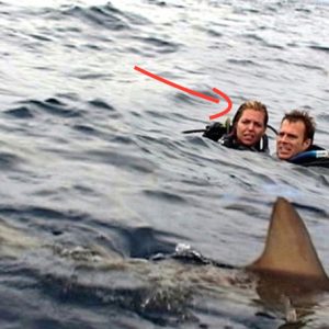 “Open Water” Actress Blanchard Ryan – Proudly Resents: The cult movie